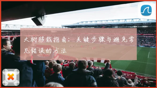 大树移栽指南：关键步骤与避免常见错误的方法