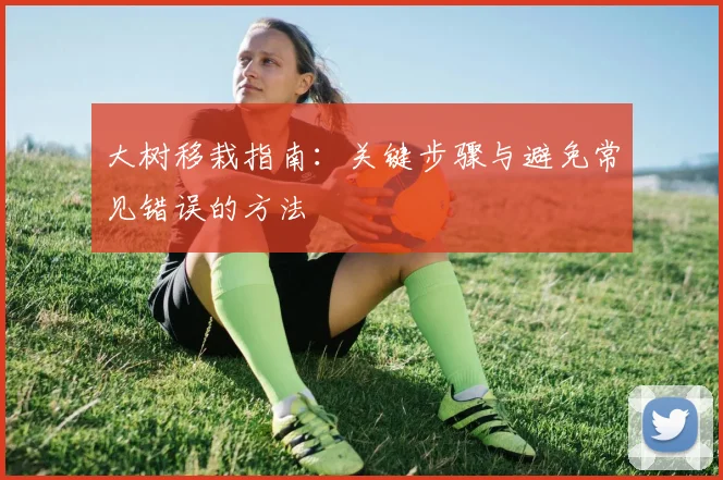 大树移栽指南：关键步骤与避免常见错误的方法